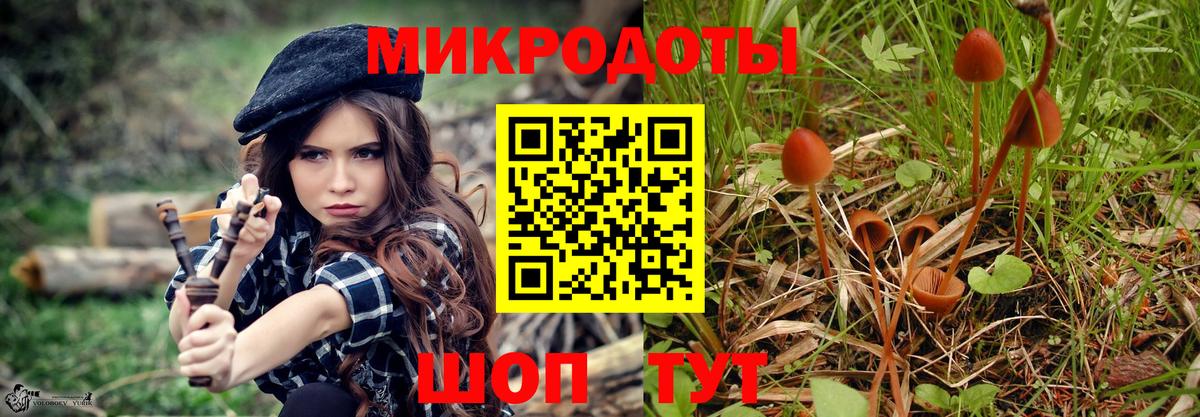 Псилоцибиновые грибы Magic Shrooms Фурманов